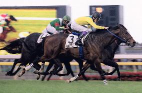 Tanino Gimlet, Take win Japan Derby